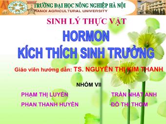 Bài thuyết trình Sinh lý thực vật - Hormon Kích thích sinh trưởng - Phạm Thị Luyến