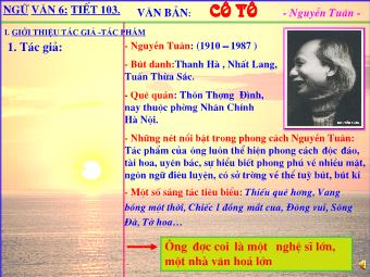 Bài giảng Ngữ văn 6 tiết 103: Văn bản: Cô Tô - Nguyễn Tuân