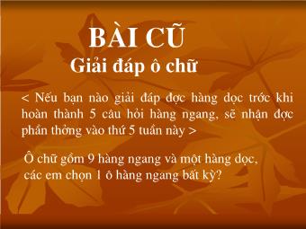 Trò Chơi Ô Chữ: Tiếng Việt