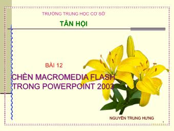 Bài giảng Bài 12: Chèn Macromedia Flash trong PowerPoint 2003 - Nguyễn Trung Hưng