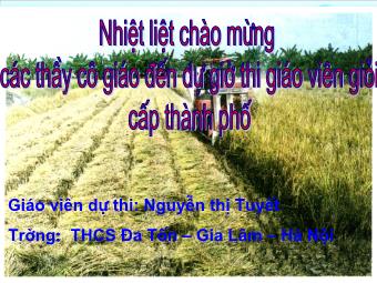 Bài giảng Địa lí Lớp 9 - Tiết 40, Bài 36: Vùng đồng bằng Sông Cửu Long (Tiếp theo) - Nguyễn Thị Tuyết