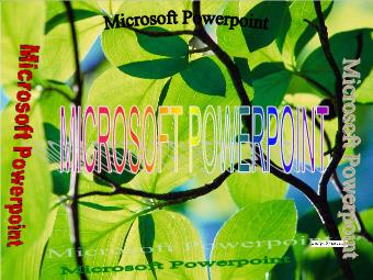 Bài giảng Nghề Microsoft PowerPoint