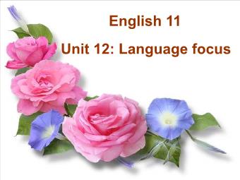 Bài giảng Tiếng anh lớp 11 - Unit 12: Language focus