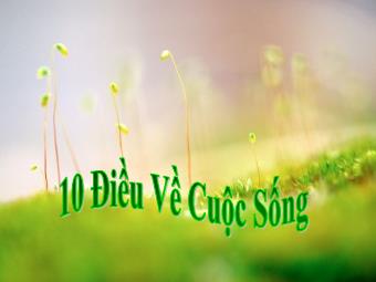 10 điều về cuộc sống