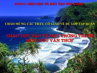 Bài giảng: 