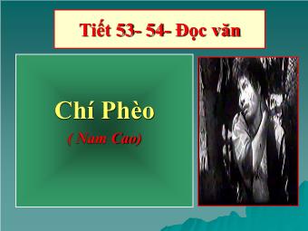 Bài giảng Ngữ văn Lớp 11 - Tiết 53-54: Đọc văn: Chí Phèo