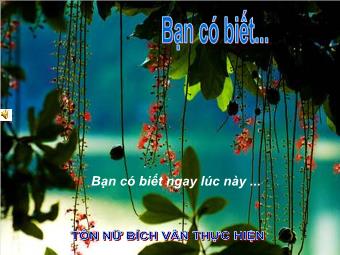 Bạn có biết? - Tôn Nữ Bích Vân