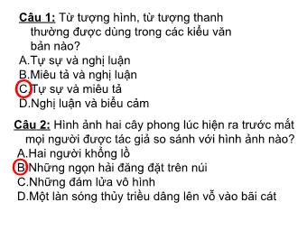 Câu hỏi ôn tập Ngữ văn Lớp 8