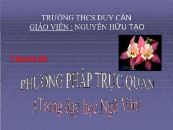 Chuyên đề: Phương pháp trực quan (Trong dạy học Ngữ văn) - Nguyễn Hữu Tạo