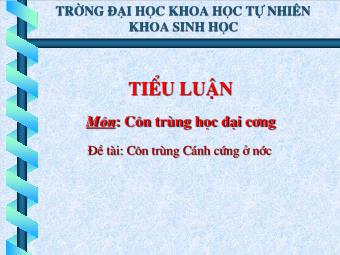 Tiểu luận Côn trùng học Đại cương - Đề tài: Côn trùng Cánh cứng ở nước - Trường Đại học Khoa học tự nhiên khoa Sinh học