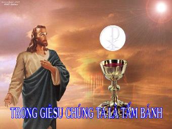 Trong Giêsu chúng ta là tấm bánh