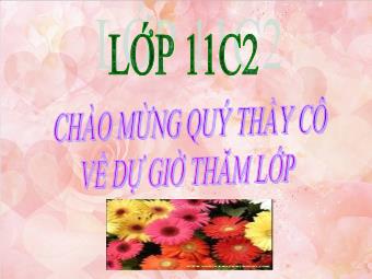 Bài giảng Ngữ văn Lớp 11 - Đọc văn: Hai đứa trẻ (Thạch Lam)