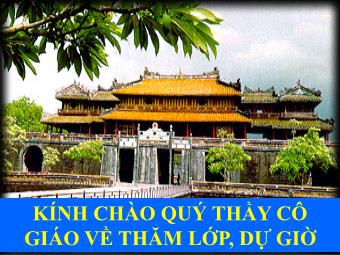 Bài giảng Ngữ văn Lớp 11 - Đọc văn: Hạnh phúc của một tang gia (Trích Số đỏ - Vũ Trọng Phụng)