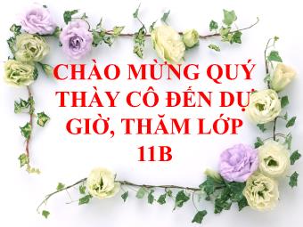 Bài giảng Ngữ văn Lớp 11 - Đọc văn: Hạnh phúc của một tang gia (Trích Số đỏ - Vũ Trọng Phụng)