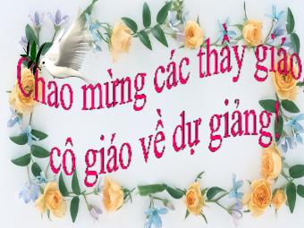 Bài giảng Ngữ văn Lớp 11 - Đọc văn: Hạnh phúc của một tang gia (Trích Số đỏ - Vũ Trọng Phụng)