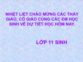 Bài giảng Ngữ văn Lớp 11 - Đọc văn: Hạnh phúc của một tang gia (Trích Số đỏ - Vũ Trọng Phụng)