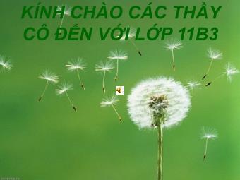 Bài giảng Ngữ văn Lớp 11 - Đọc văn: Người trong bao (A.P.Sê-Khốp)