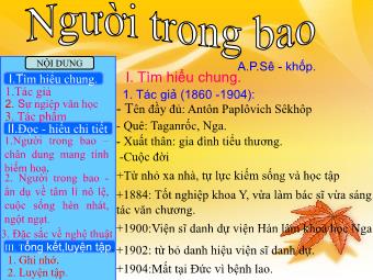 Bài giảng Ngữ văn Lớp 11 - Đọc văn: Người trong bao (A.P.Sê-Khốp)