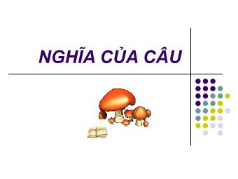 Bài giảng Ngữ văn Lớp 11 - Tiếng Việt: Nghĩa của câu