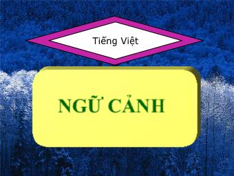 Bài giảng Ngữ văn Lớp 11 - Tiếng Việt: Ngữ cảnh