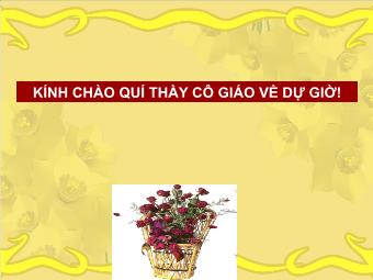 Bài giảng Ngữ văn Lớp 11 - Tiếng Việt: Thực hành về nghĩa của từ trong sử dụng