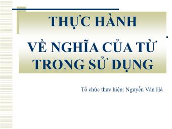 Bài giảng Ngữ văn Lớp 11 - Tiếng Việt: Thực hành về nghĩa của từ trong sử dụng - Nguyễn Văn Hà