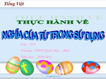 Bài giảng Ngữ văn Lớp 11 - Tiếng Việt: Thực hành về nghĩa của từ trong sử dụng - Trường THPT Quốc học - Huế