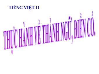 Bài giảng Ngữ văn Lớp 11 - Tiếng Việt: Thực hành về Thành ngữ - Điển cố