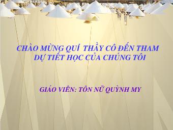 Bài giảng Ngữ văn Lớp 11 - Tiết 24: Tiếng Việt: Thực hành về Thành ngữ - Điển cố - Tôn Nữ Quỳnh My