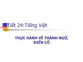 Bài giảng Ngữ văn Lớp 11 - Tiết 24: Tiếng Việt: Thực hành về Thành ngữ - Điển cố