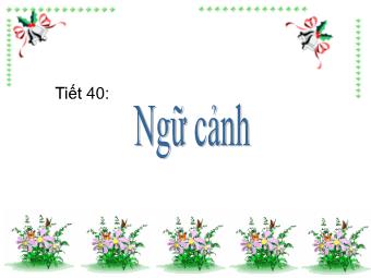 Bài giảng Ngữ văn Lớp 11 - Tiết 40: Tiếng Việt: Ngữ cảnh