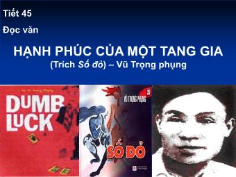 Bài giảng Ngữ văn Lớp 11 - Tiết 45: Đọc văn: Hạnh phúc của một tang gia (Vũ Trọng Phụng)