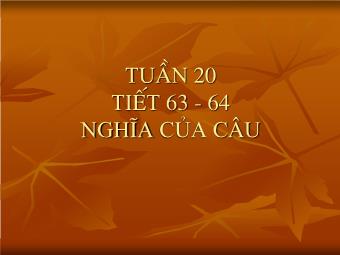 Bài giảng Ngữ văn Lớp 11 - Tiết 63,64: Tiếng Việt: Nghĩa của câu