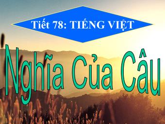 Bài giảng Ngữ văn Lớp 11 - Tiết 78: Tiếng Việt: Nghĩa của câu