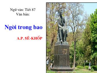 Bài giảng Ngữ văn Lớp 11 - Tiết 87: Đọc văn: Người trong bao (A.P.Sê-Khốp)