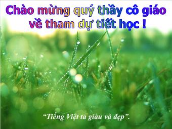 Bài giảng Ngữ văn Lớp 11 - Tiết 91: Tiếng Việt: Đặc điểm loại hình của Tiếng Việt