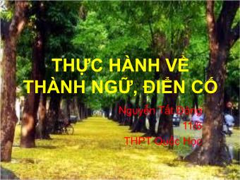 Bài thuyết trình Ngữ văn Lớp 11 - Tiếng Việt: Thực hành về thành ngữ, điển cố - Nguyễn Tất Đông