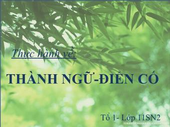 Bài thuyết trình Ngữ văn Lớp 11 - Tiếng Việt: Thực hành về Thành ngữ - Điển cố