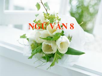 Bài giảng môn Ngữ văn Khối 8 - Tiết 73: Văn bản: Nhớ rừng (Thế Lữ)