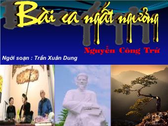 Bài giảng Ngữ văn Lớp 11 - Đọc văn: Bài ca ngất ngưởng (Nguyễn Công Trứ) - Trần Xuân Dung