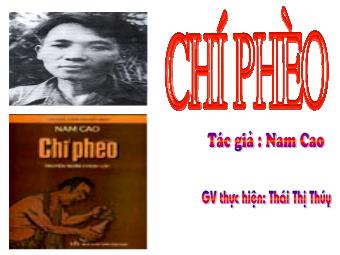 Bài giảng Ngữ văn Lớp 11 - Đọc văn: Chí Phèo (Nam Cao) - Thái Thị Thúy