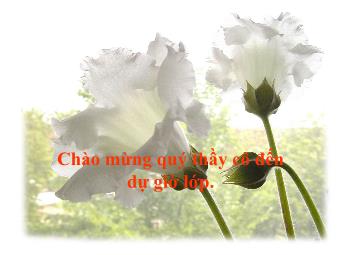 Bài giảng Ngữ văn Lớp 11 - Đọc văn: Chí Phèo (Nam Cao)