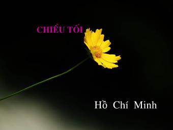 Bài giảng Ngữ văn Lớp 11 - Đọc văn: Chiều tối (Mộ - Hồ Chí Minh)