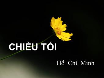 Bài giảng Ngữ văn Lớp 11 - Đọc văn: Chiều tối (Mộ - Hồ Chí Minh)