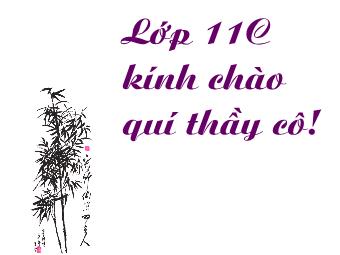 Bài giảng Ngữ văn Lớp 11 - Đọc văn: Chữ người tử tù (Nguyễn Tuân)