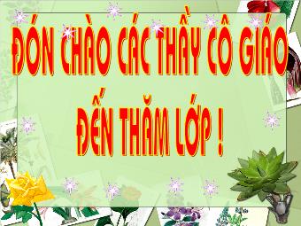 Bài giảng Ngữ văn Lớp 11 - Đọc văn: Đây thôn Vĩ Dạ (Hàn Mặc Tử) - Nguyễn Phong Lan