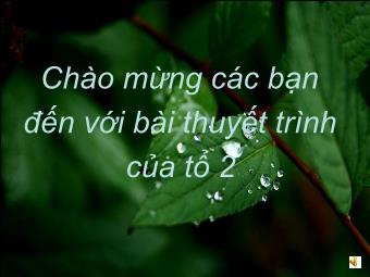 Bài giảng Ngữ văn Lớp 11 - Đọc văn: Khóc Dương Khuê (Nguyễn Khuyến)