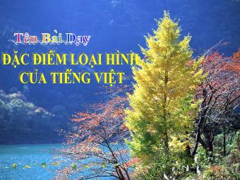 Bài giảng Ngữ văn Lớp 11 - Tiếng Việt: Đặc điểm loại hình của tiếng Việt