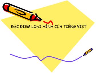 Bài giảng Ngữ văn Lớp 11 - Tiếng Việt: Đặc điểm loại hình của Tiếng Việt