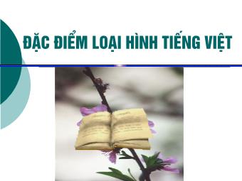 Bài giảng Ngữ văn Lớp 11 - Tiếng Việt: Đặc điểm loại hình của tiếng Việt